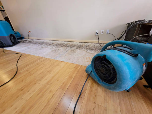 Professional Water Damage Repair technician working in Bradford, ME